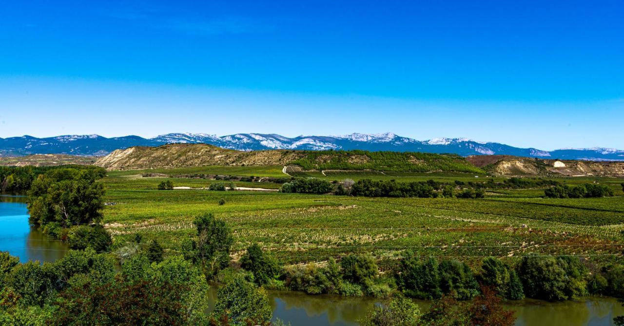 Apartamento Virgen Del Valle Cenicero Eksteriør billede