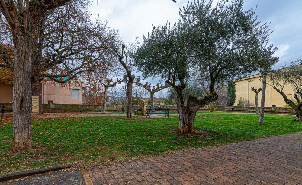 Apartamento Virgen Del Valle Cenicero Eksteriør billede